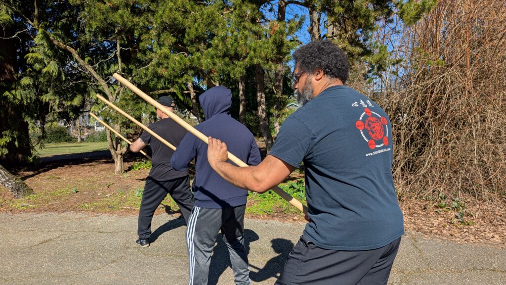 Whip Stick